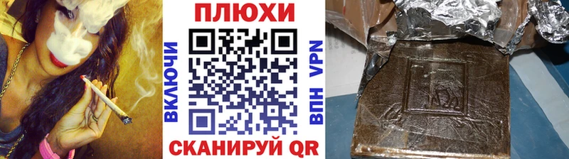 ГАШ Premium  Сураж 