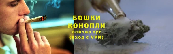 стаф Аркадак