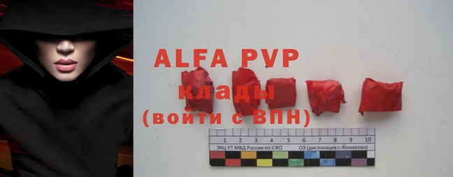стаф Аркадак