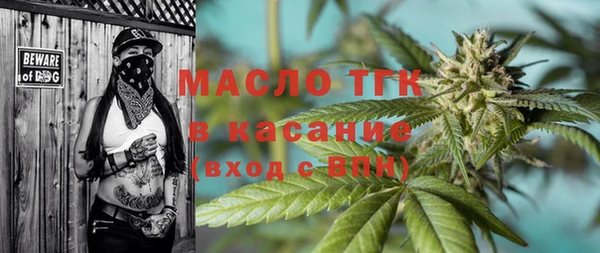 стаф Аркадак