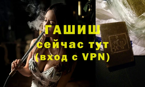 стаф Аркадак