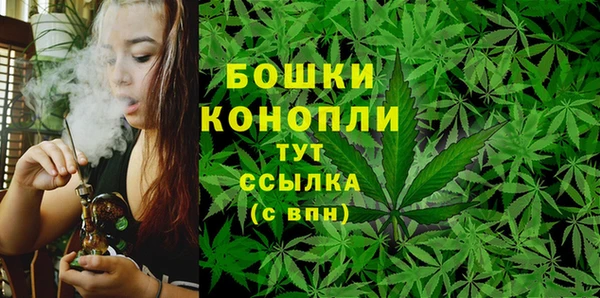 стаф Аркадак