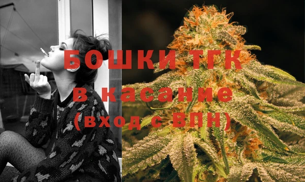 стаф Аркадак