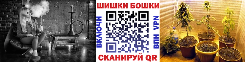 Бошки марихуана ГИДРОПОН  где продают   Сураж 